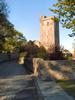 St Serf's Tower